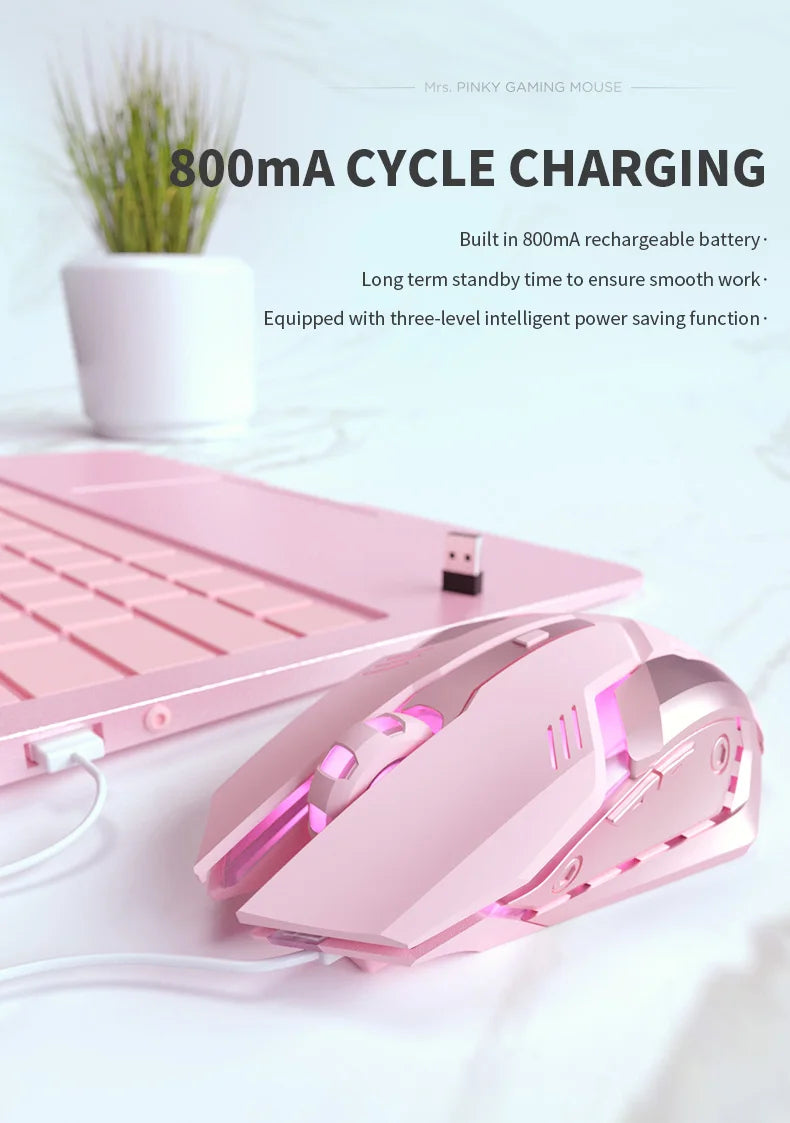 USB Wireless Gaming Mouse RGB Gamer Mouse 6 Buttons Mice Optical Office Computer Mouse For Desktop Laptop Ergonomic Mouse